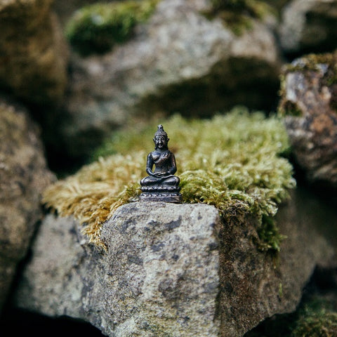 Chanting & Meditation