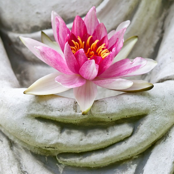 Gentlest Yoga