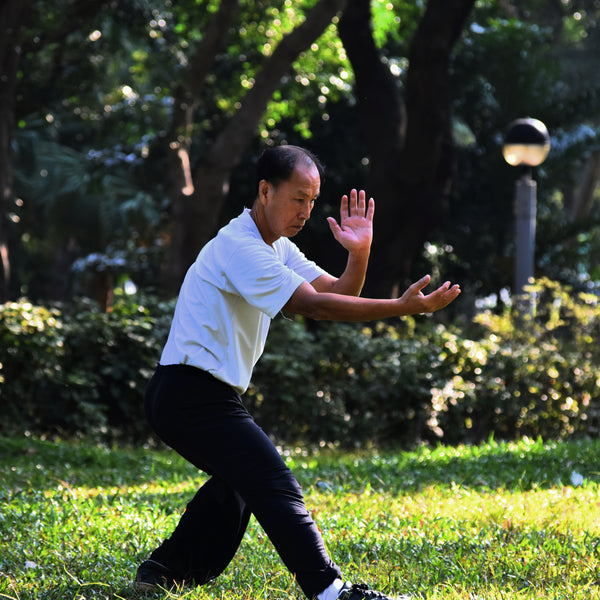 Tai Chi & QiGong