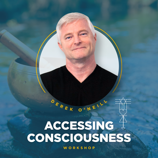 Accessing Consciousness