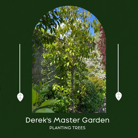 Derek's Master Garden