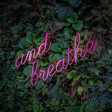 Mindful Breathing