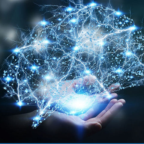 Brain Soulutions Training & Certification