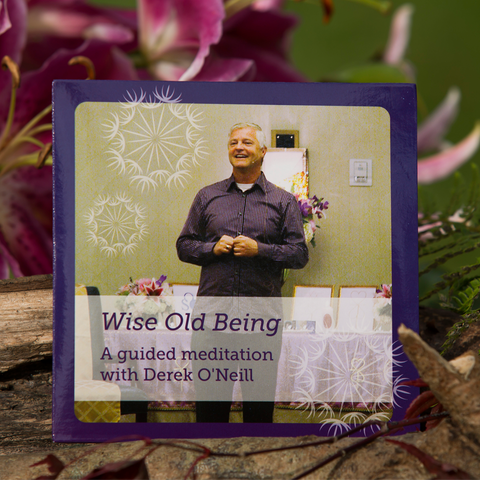 Wise Old Being - Guided Meditation
